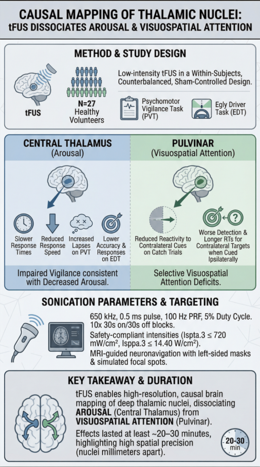 Visual summary — thalamic vs pulvinar ultrasound