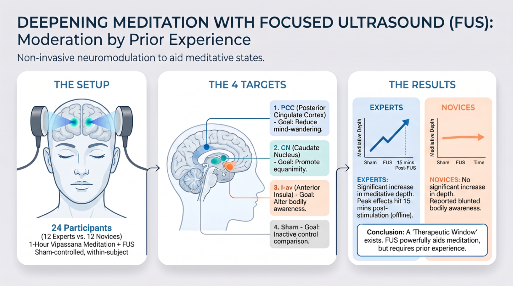 Visual summary — focused ultrasound + meditation