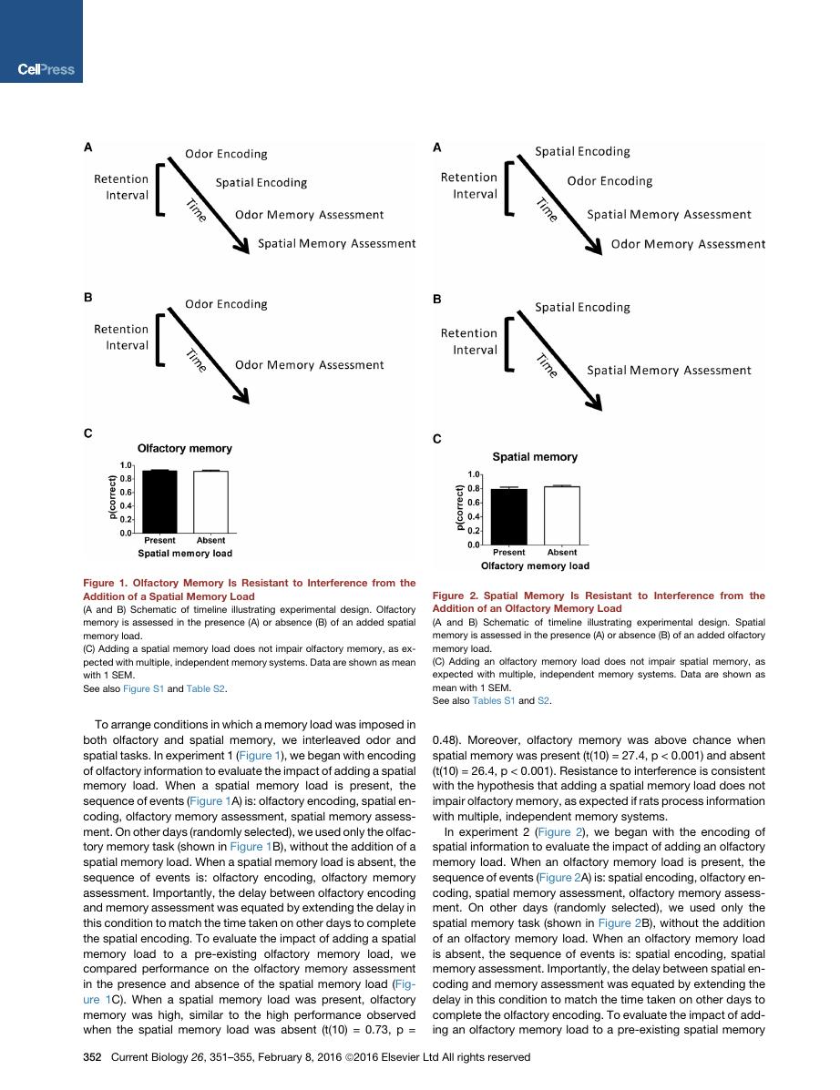Figure showing behavioral results