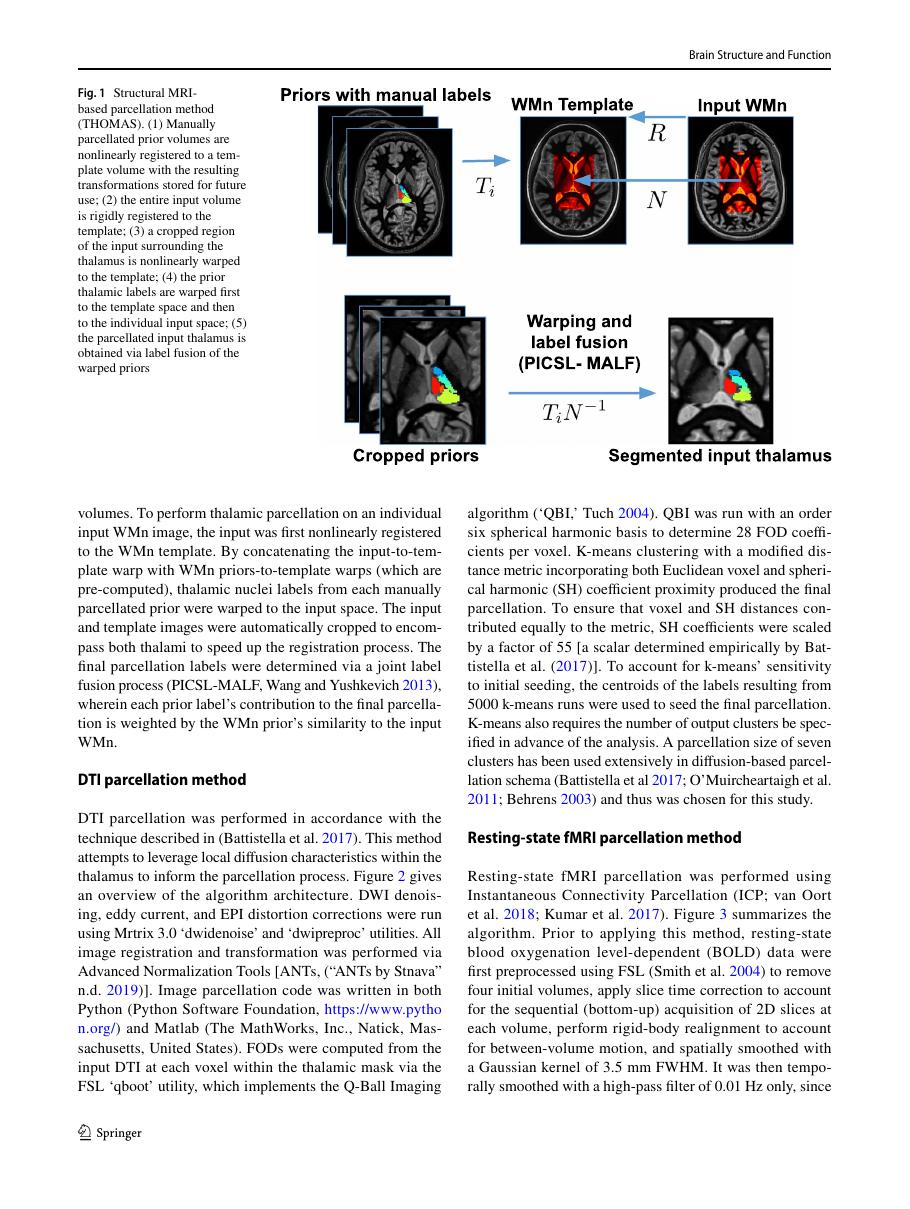 Figure showing thalamic parcellations