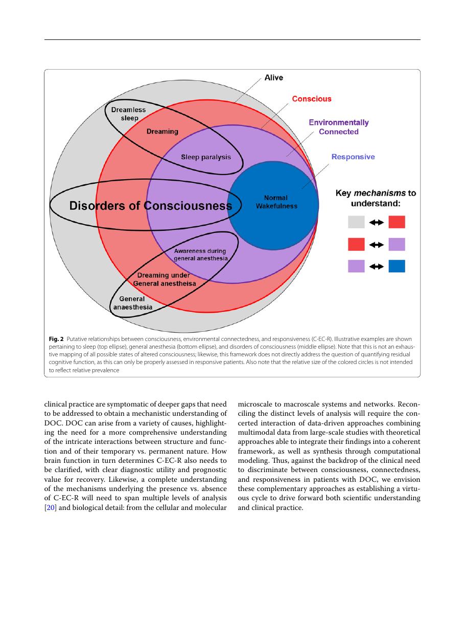 Figure showing conceptual framework
