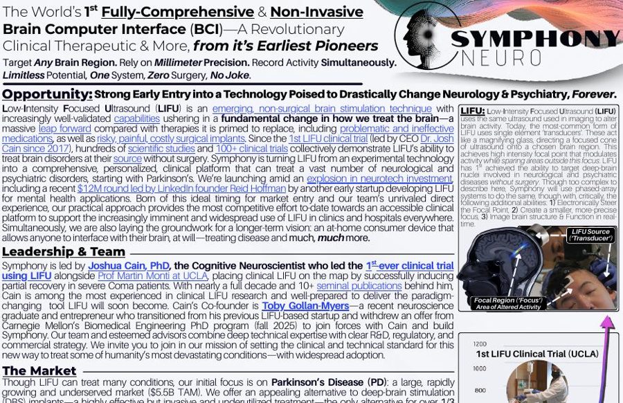 First page preview of Executive Summary