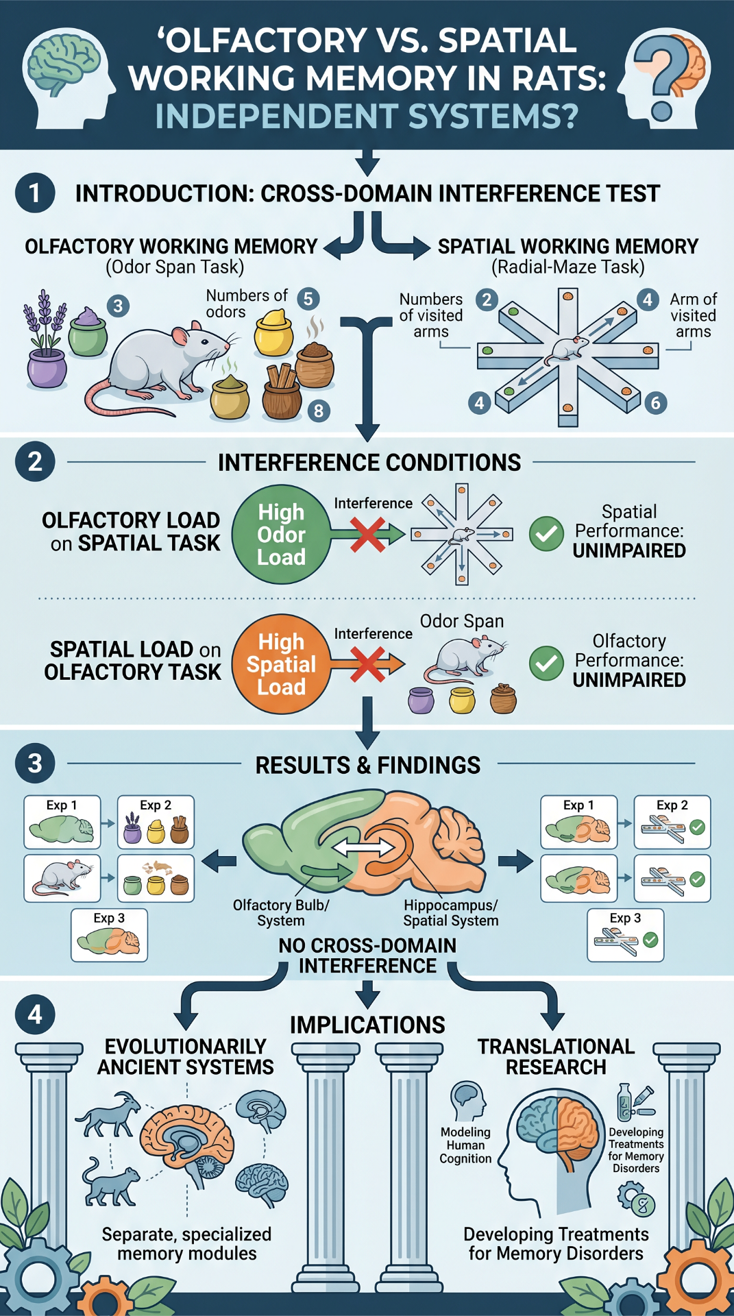 Working Memory Systems in the Rat